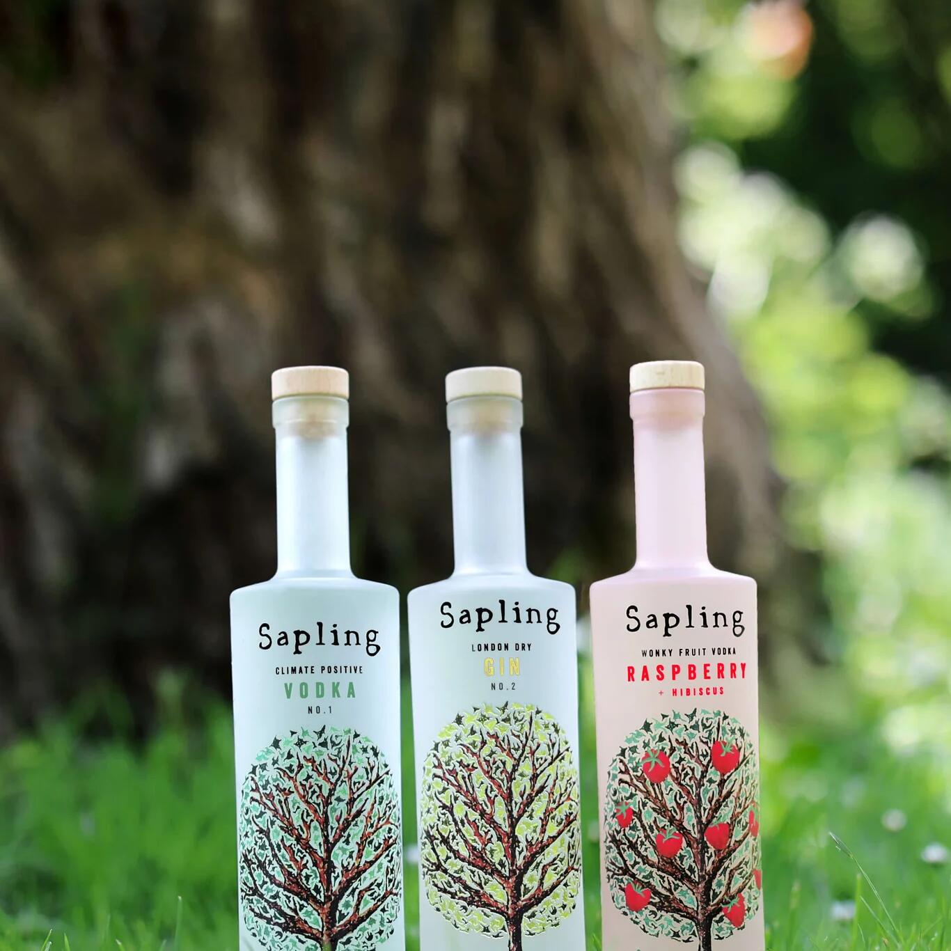 Sapling Spirits